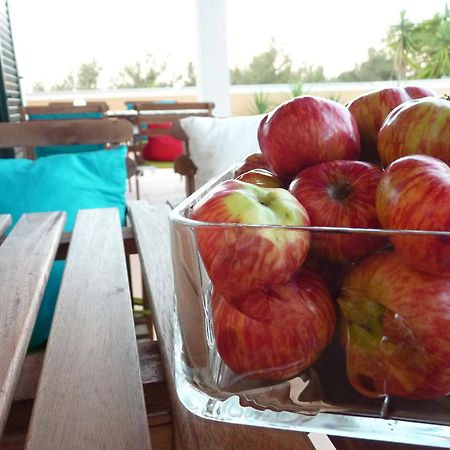 Casal Das Oliveiras Setubal Ngoại thất bức ảnh