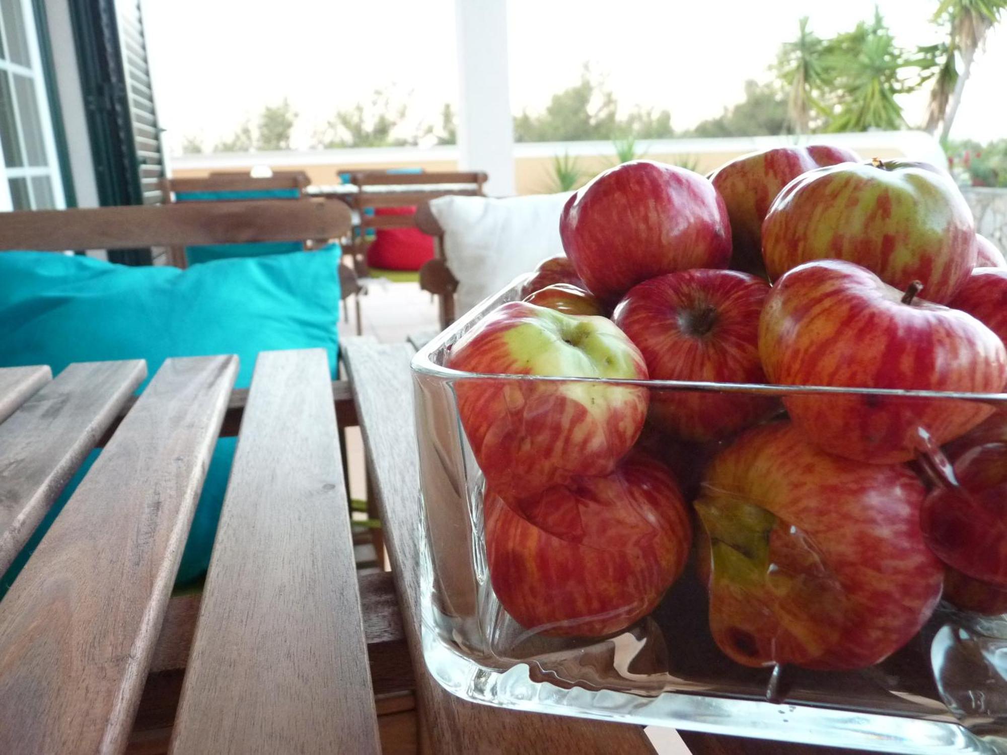 Casal Das Oliveiras Setubal Ngoại thất bức ảnh