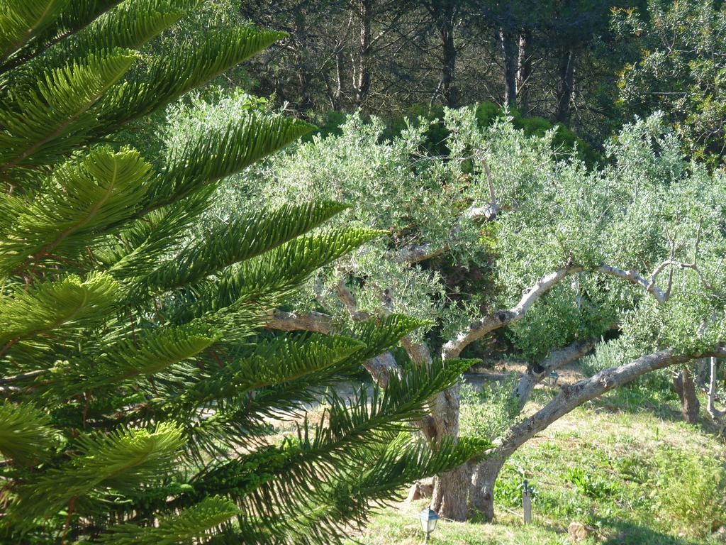 Casal Das Oliveiras Setubal Ngoại thất bức ảnh
