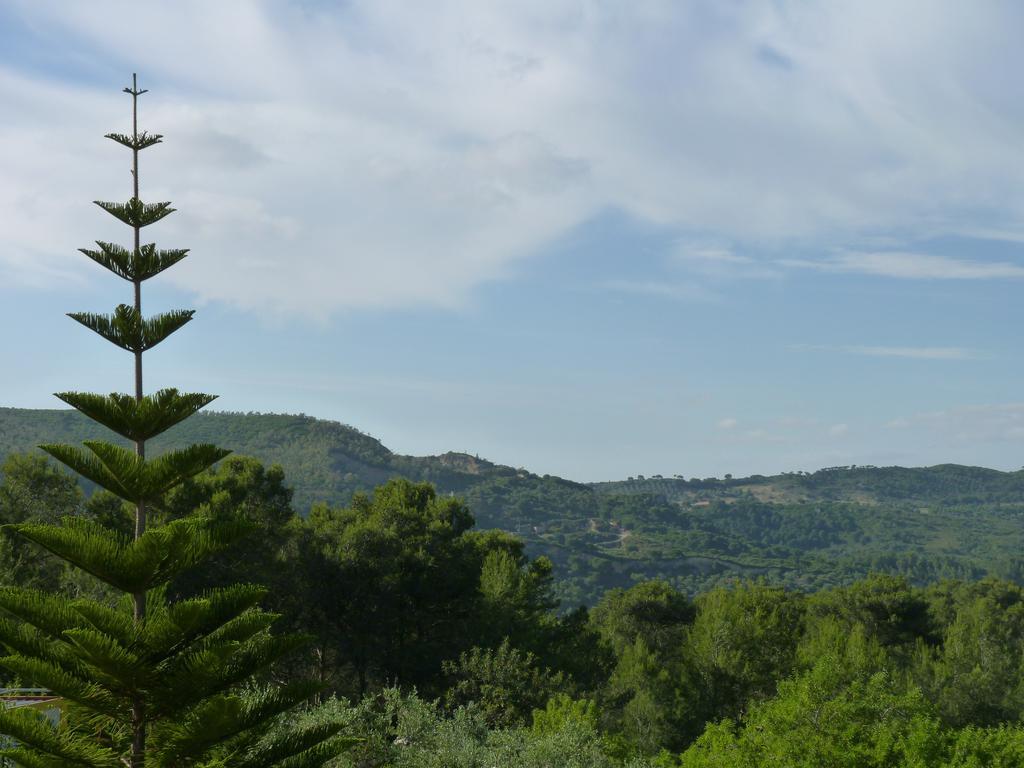 Casal Das Oliveiras Setubal Ngoại thất bức ảnh
