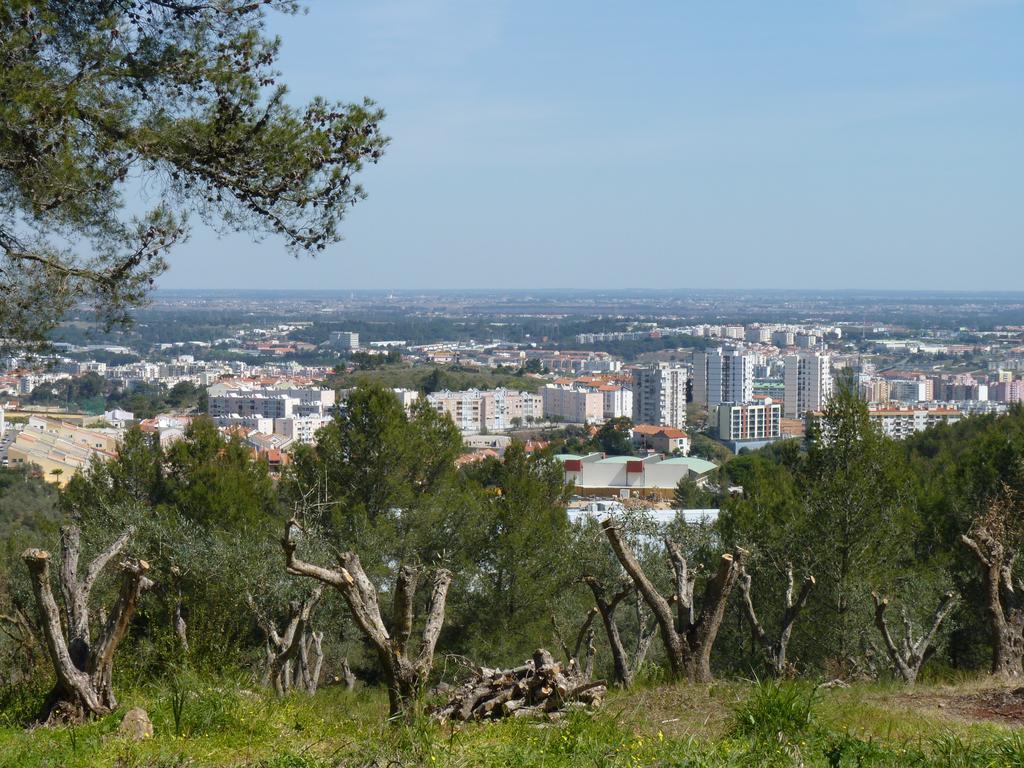 Casal Das Oliveiras Setubal Ngoại thất bức ảnh